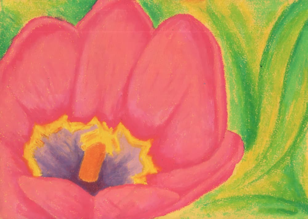Pink Tulip Blossom by Kulik — canvas wall art