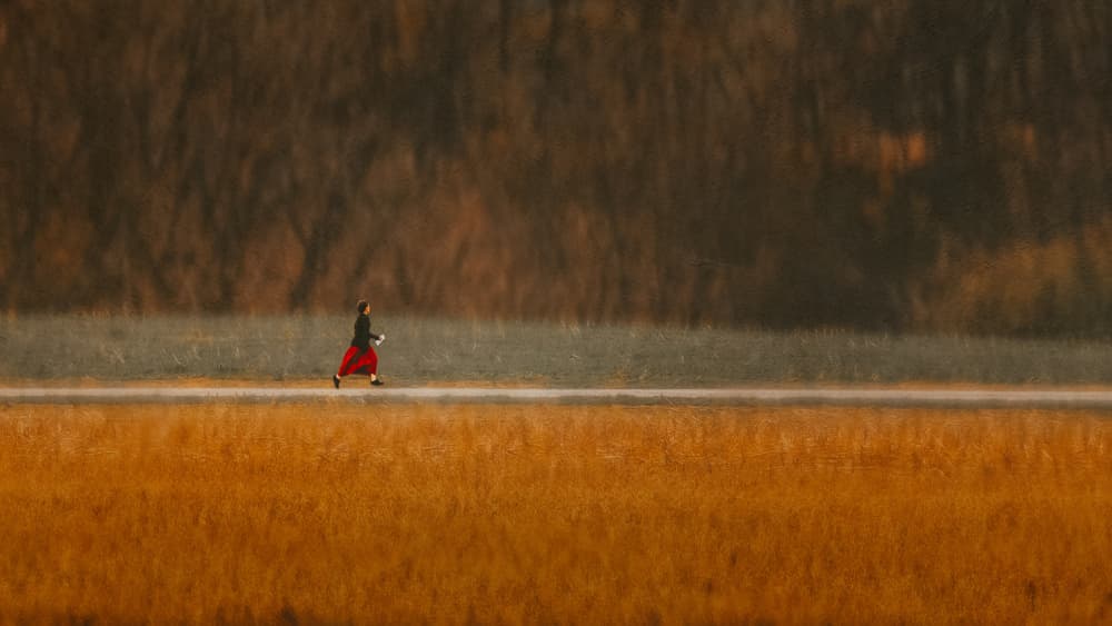 Red Dress in Golden Field by Wei Xu — canvas wall art