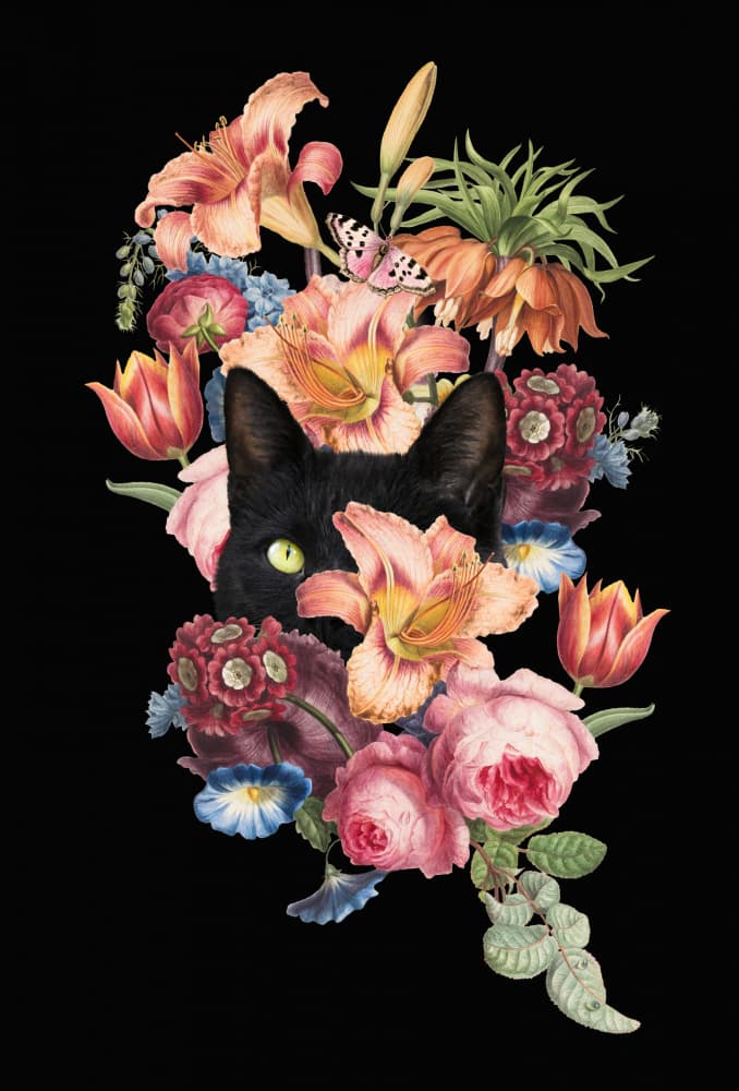 Peeking Cat Among Blooms by Marja van den Hurk — canvas wall art