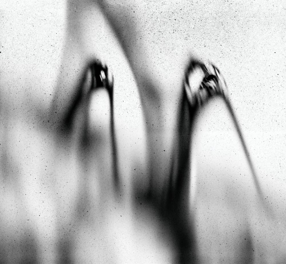 Monochrome Fluid Forms by Erik Schottstaedt — canvas wall art