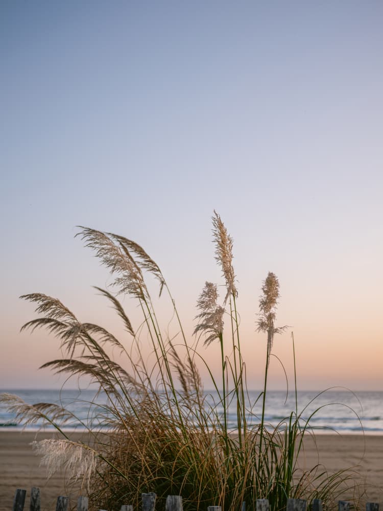 Moroccan Coast Sunset by Raisa Zwart — canvas wall art