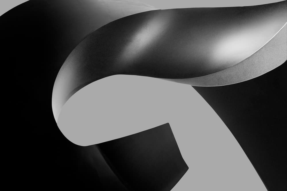 Monochrome Flowing Shapes by Paulo Abrantes — canvas wall art