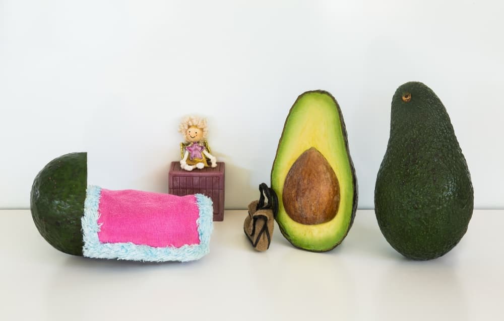 Avocado Doll Scene by Jacqueline Hammer — canvas wall art