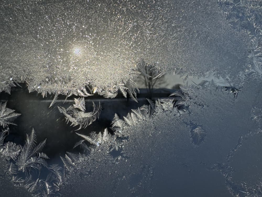 Sunlit Frost Patterns by Andre Pelletier — canvas wall art