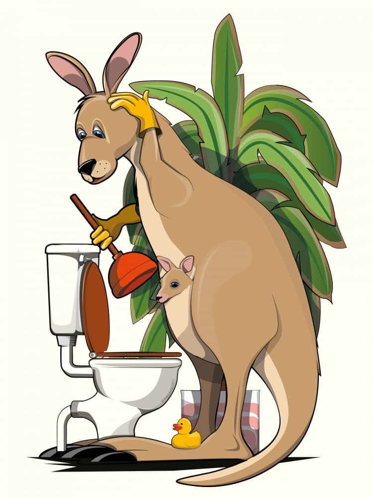 Kangaroo Plumbing Problem by In The Washroom — canvas wall art