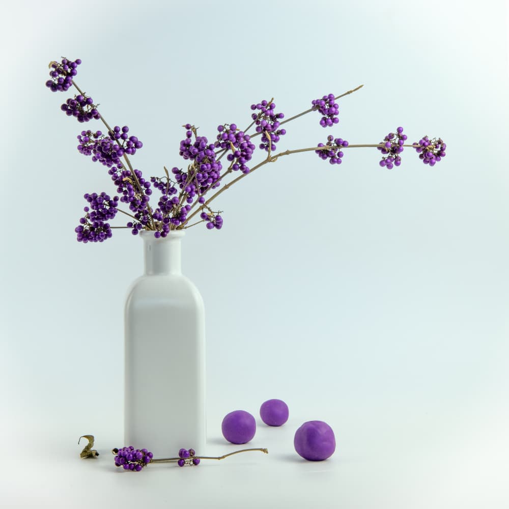 Vibrant Purple Berry Still Life by FranzStaab — canvas wall art
