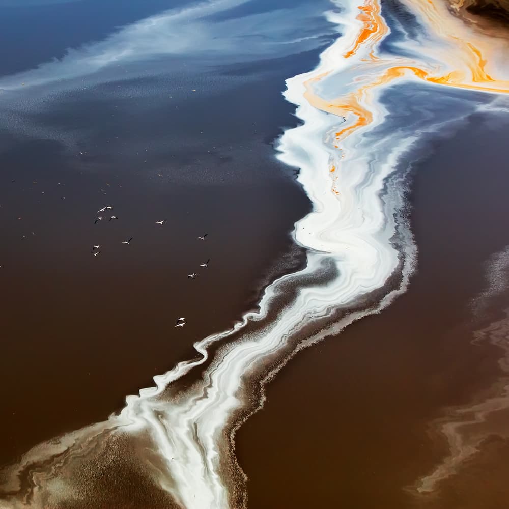 Birds Over Swirling Water by Jun Zuo — canvas wall art
