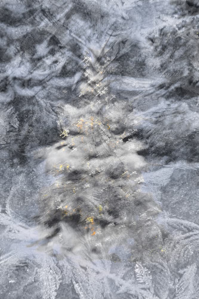 Intricate Frost Patterns by Christina Sillen — canvas wall art