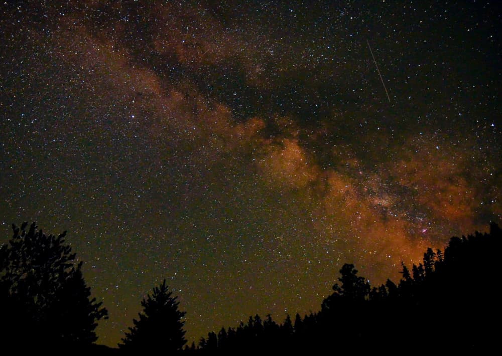 Milky Way Over Trees by Del Mundo Imagery — canvas wall art