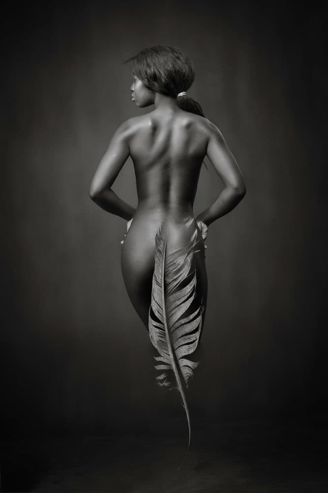 Elegant Feathered Form by Catchlight Studio — canvas wall art