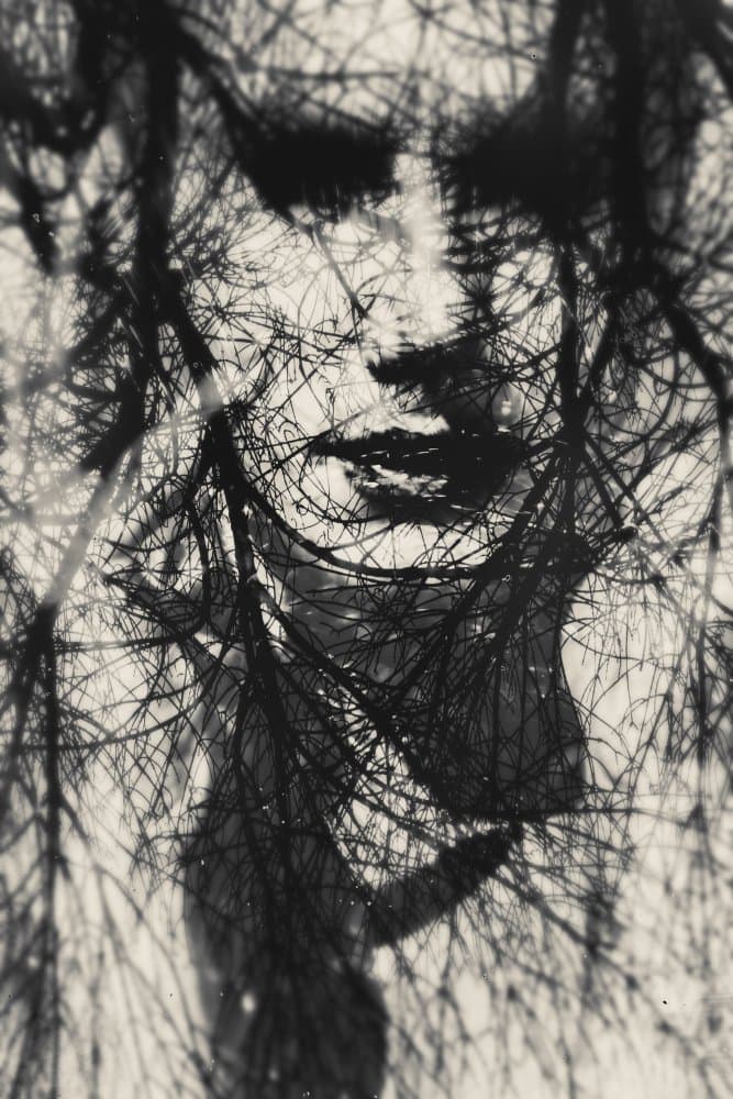 Tangled Portrait Mystery by Bogdan Bouşcă — canvas wall art