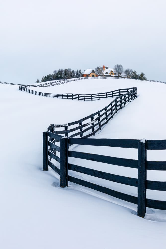 Winding Winter Fence by Steven Zhou — canvas wall art