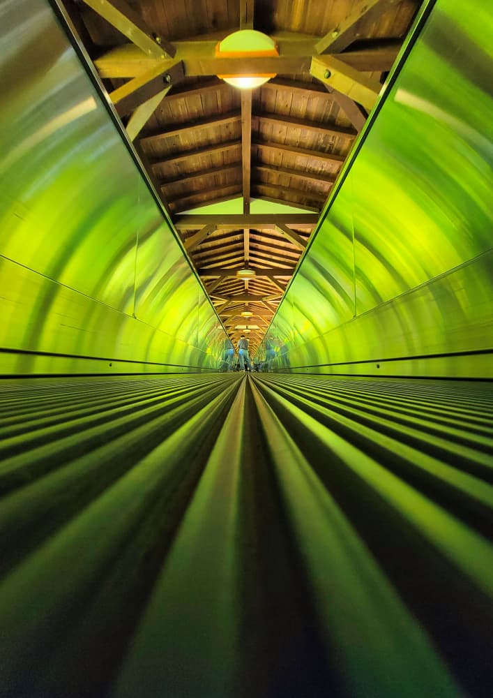 Green Tunnel Walkway by 大山 儀高 — canvas wall art