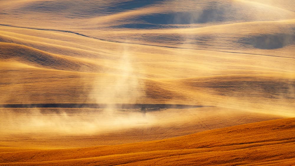 Misty Golden Fields by James Lu — canvas wall art