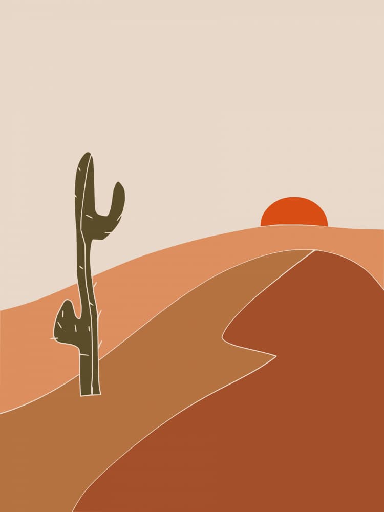 Desert Sunset Cactus by Little Dean — canvas wall art