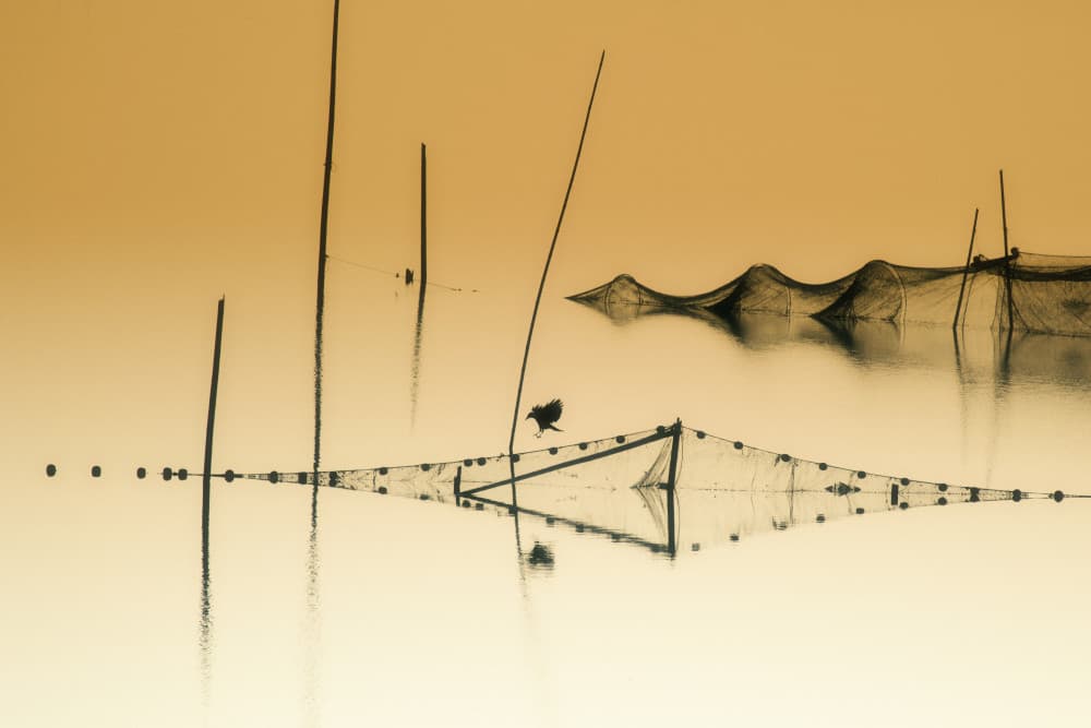 Golden Hour Fishing Nets by UU — canvas wall art