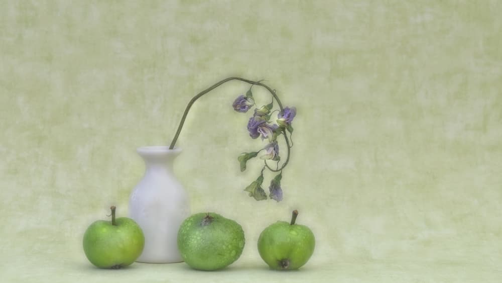 Delicate Botanical Still Life by Marie-anne Stas — canvas wall art