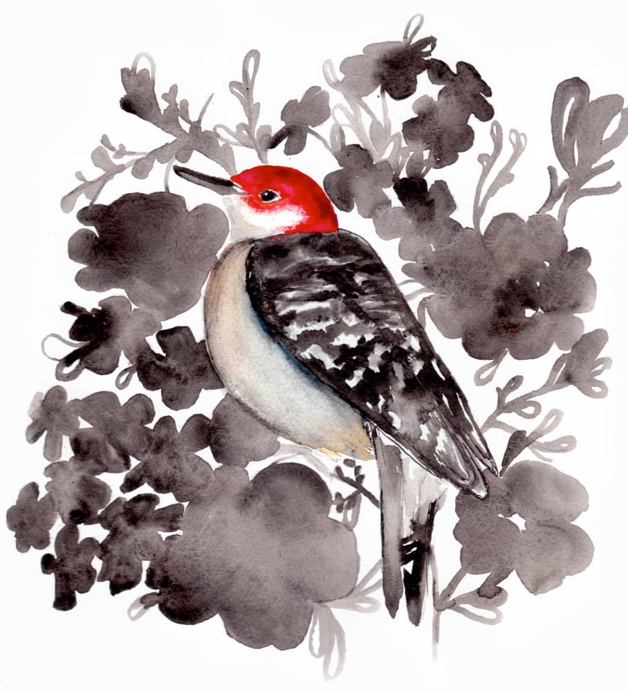 Red Woodpecker Bloom by Christine Lindstrom — canvas wall art