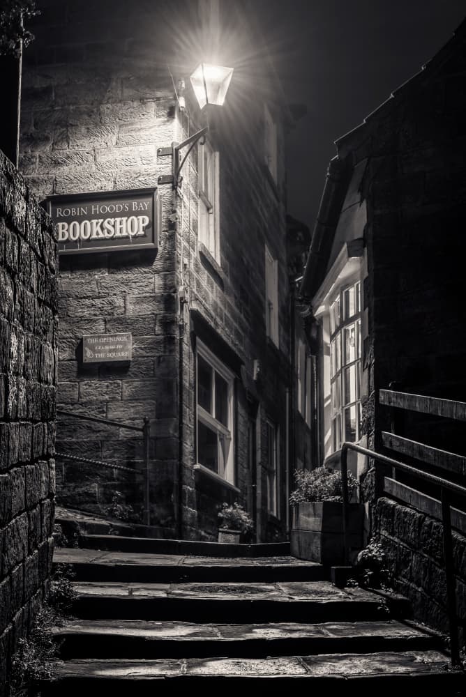 Cozy Bookshop Alley by Francis Wilson — canvas wall art