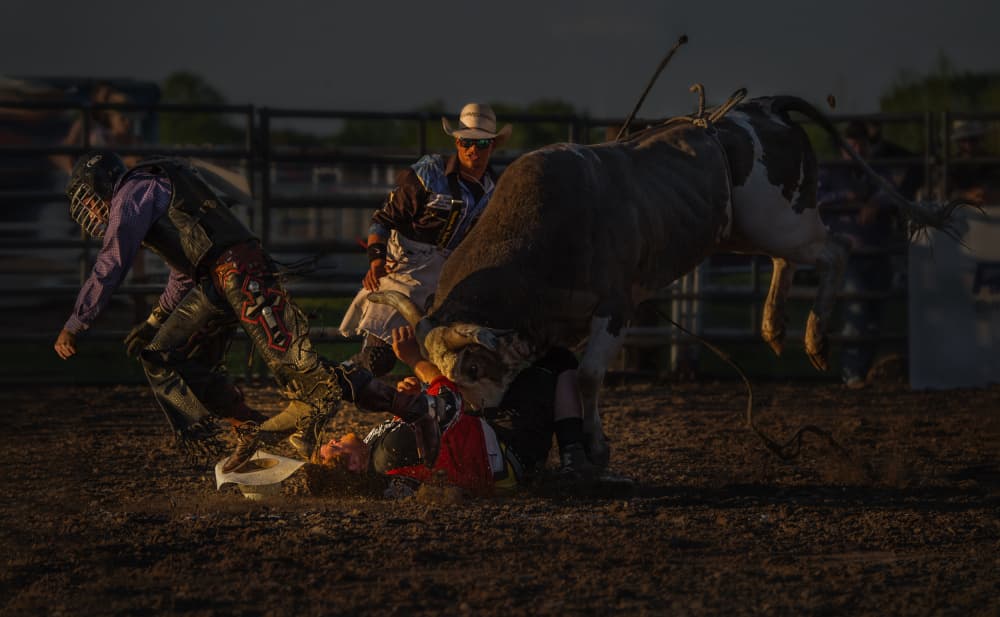 Rodeo Bull Action by Anna Zhang — canvas wall art
