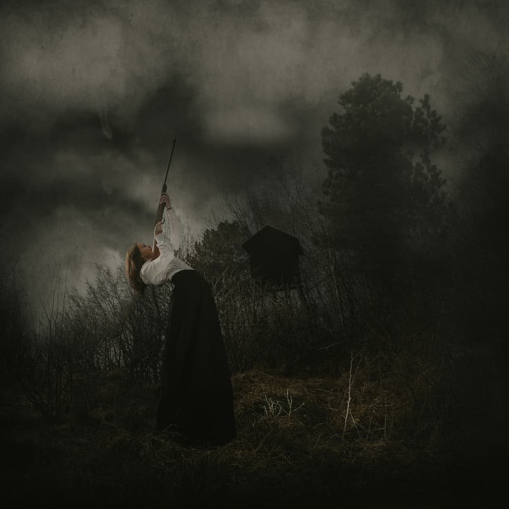 Elegant Storm Struggle by Damijan Sedevcic — canvas wall art