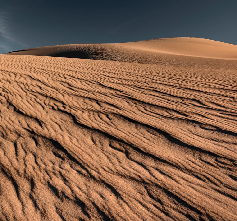 Serene Desert Landscape by Rob Darby — canvas wall art