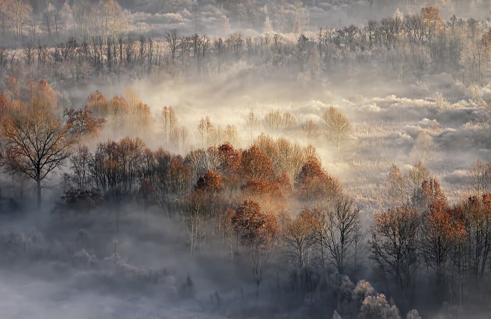 Misty Autumn Valley by Fabrizio Daminelli — canvas wall art