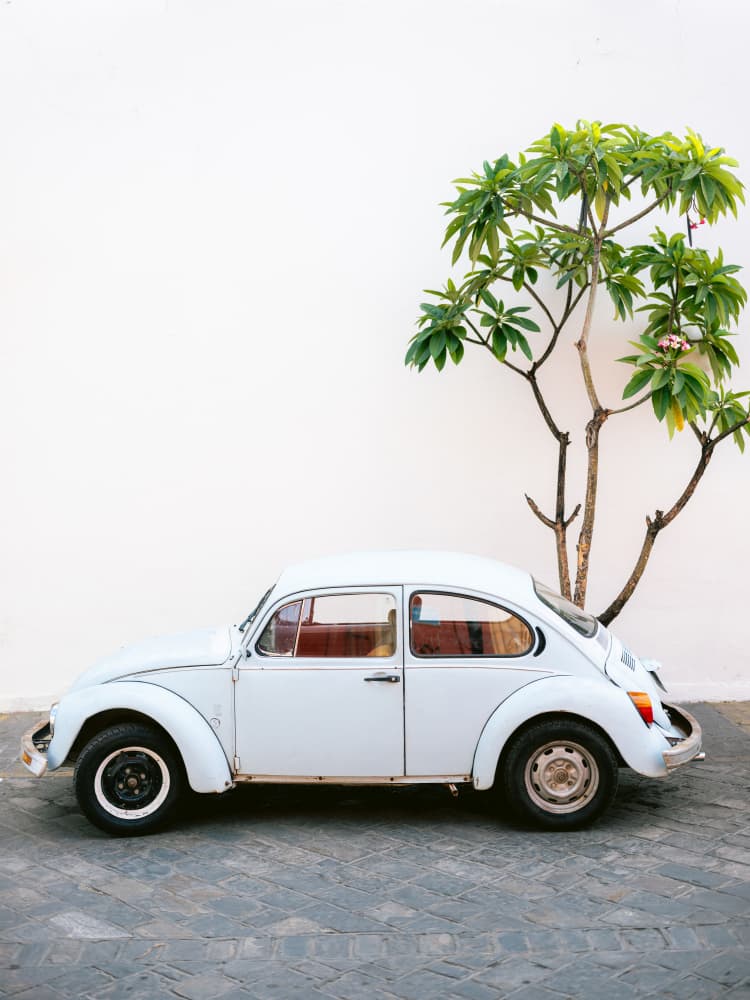 Pastel Volskwagen Beetle in the streets of Oaxaca Mexico by Raisa Zwart — canvas wall art