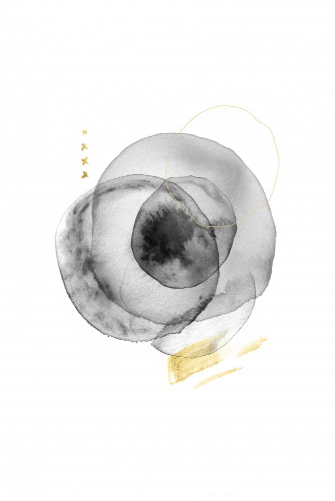 Black Gold Fluid Circles by Fabiana Silveira — canvas wall art