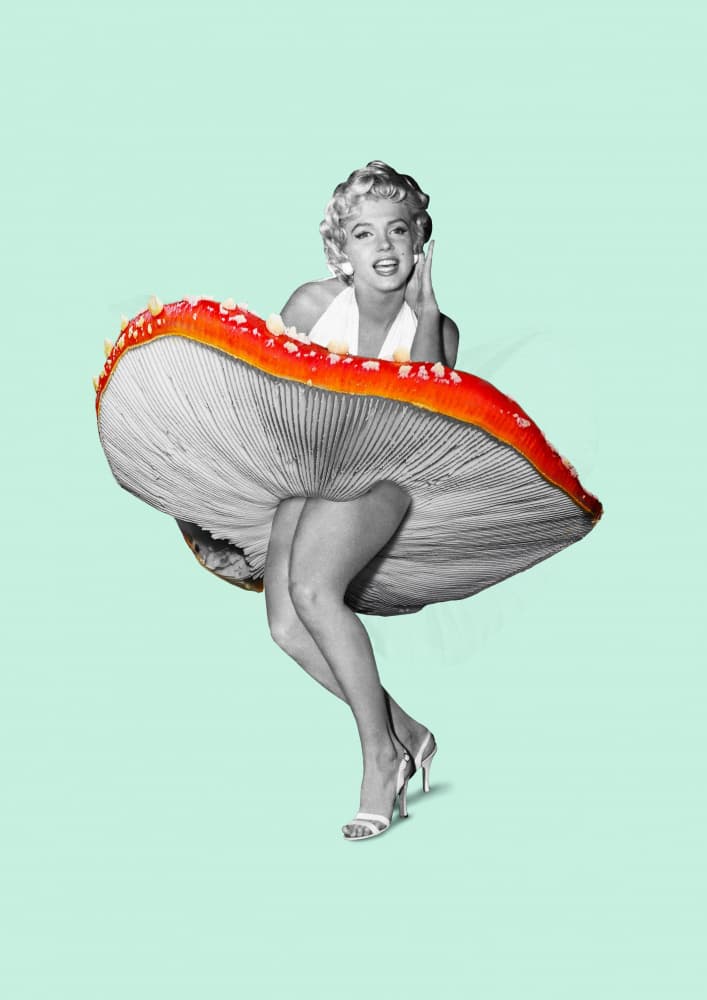 Marilyn Mushroom Skirt by Artem Pozdniakov — canvas wall art
