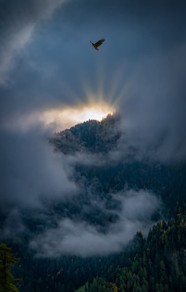 Soaring Bird Sunlit Mountains by Songlin Xu — canvas wall art