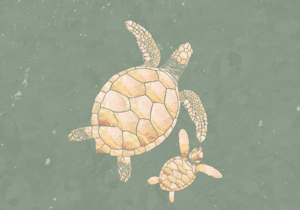 Peaceful Ocean Turtles by Sarah Manovski — canvas wall art