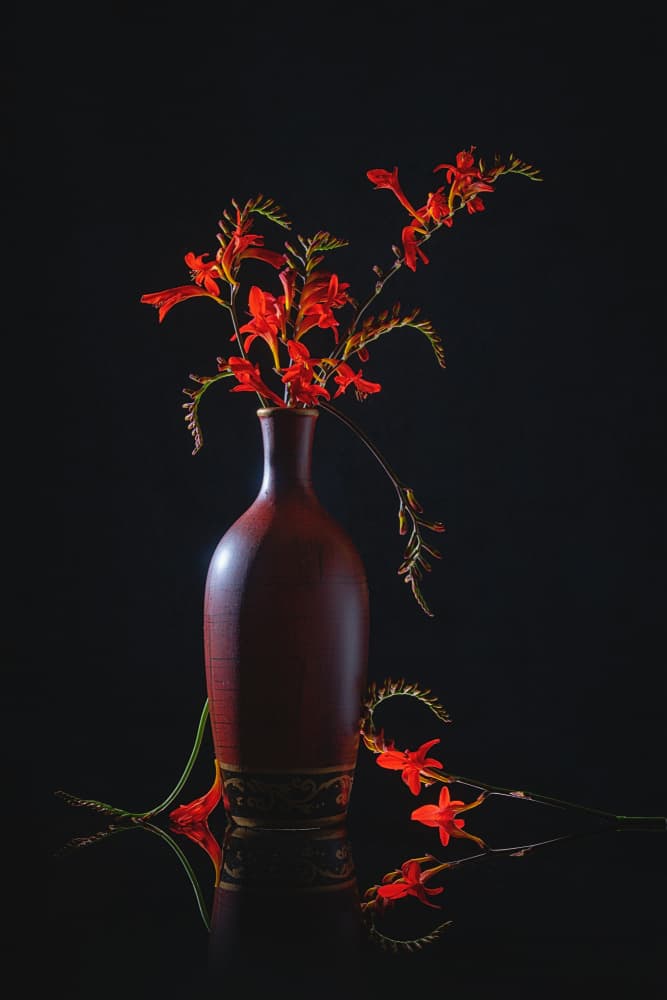 Vibrant Red Still Life by Lydia Jacobs — canvas wall art