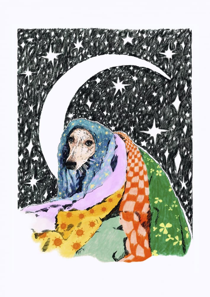 Cozy Dog Under Moon by Katariina Kosunen — canvas wall art