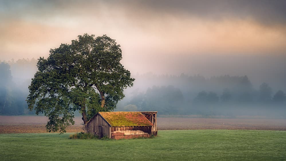 Misty Field Shack by Ulrike Eisenmann — canvas wall art