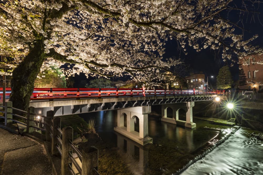 Cherry Blossoms Night Bridge by Melanie Viola — canvas wall art