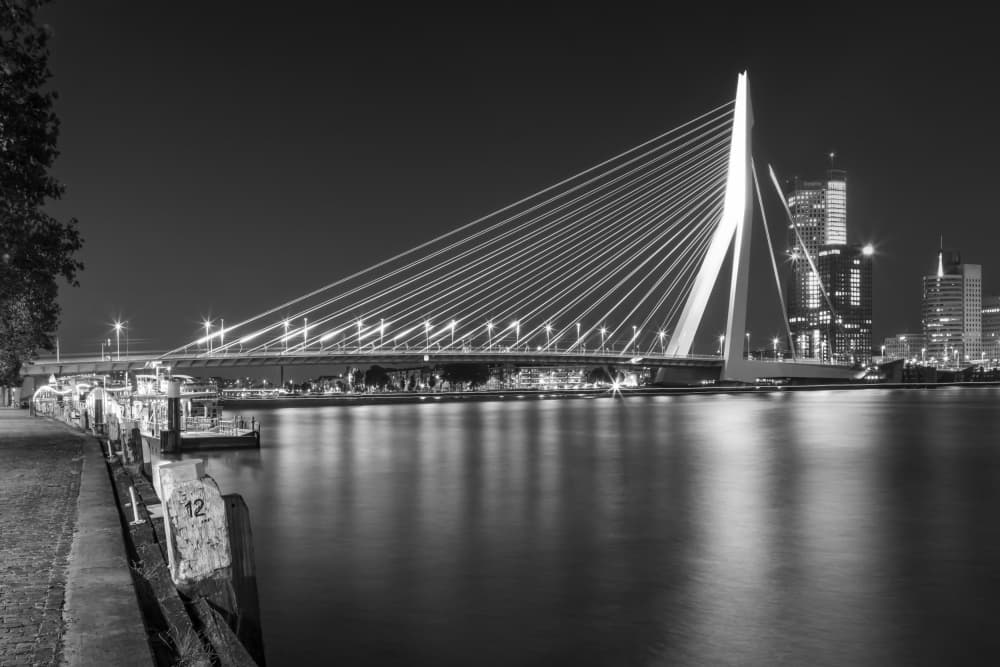 Erasmus Bridge Night Reflections by Melanie Viola — canvas wall art