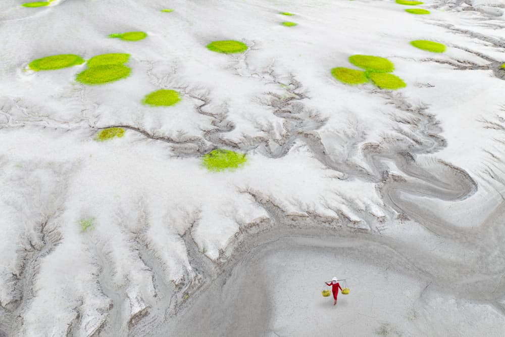 Vibrant Mudflats Solitude by Songlin Xu — canvas wall art