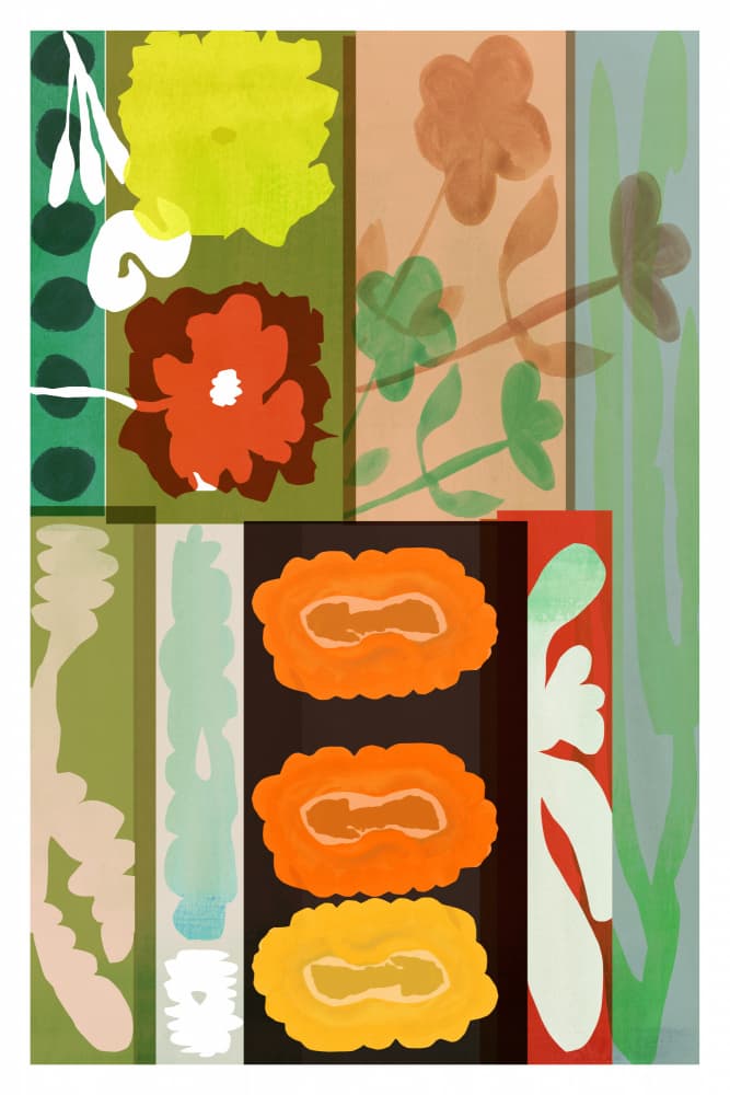 Vibrant Botanical Shapes by casa cartissi — canvas wall art