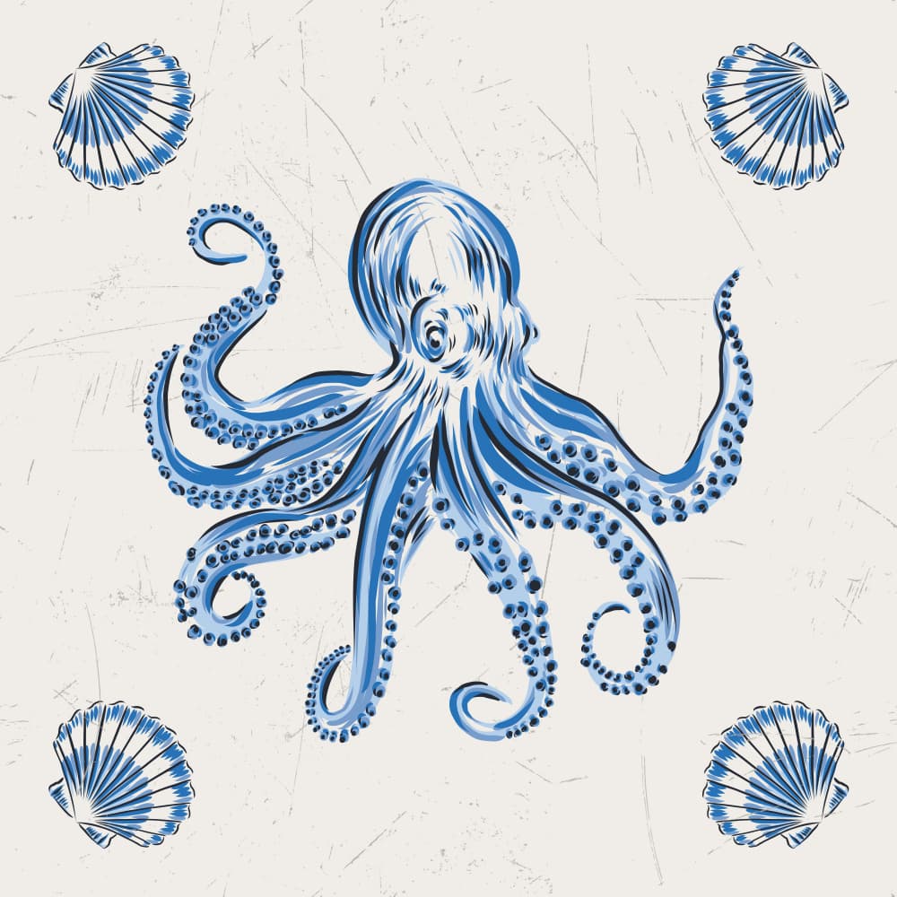 Blue Octopus And Shells by Alexandra Weise — canvas wall art