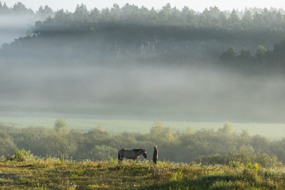 Misty Morning Horse and Person by Leszek Paradowski — canvas wall art
