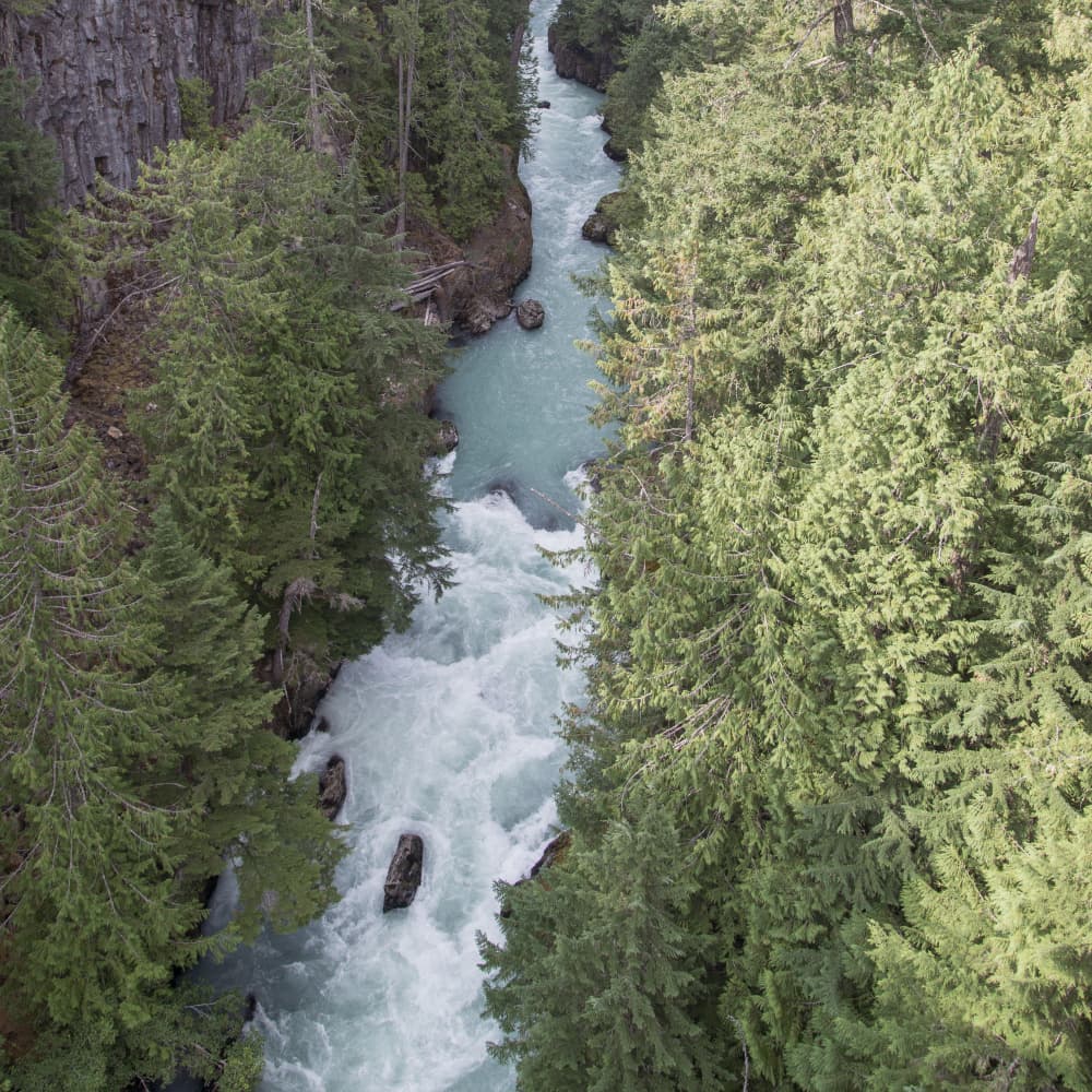Wild River Gorge by Lynann Colligan — canvas wall art