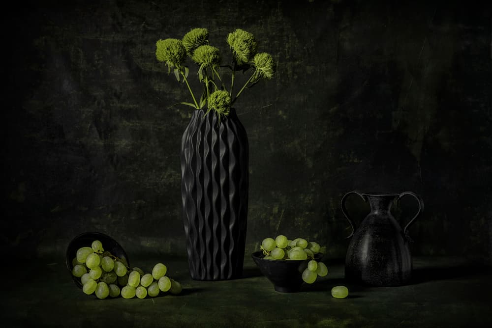 Moody Grapes And Flowers by Lydia Jacobs — canvas wall art