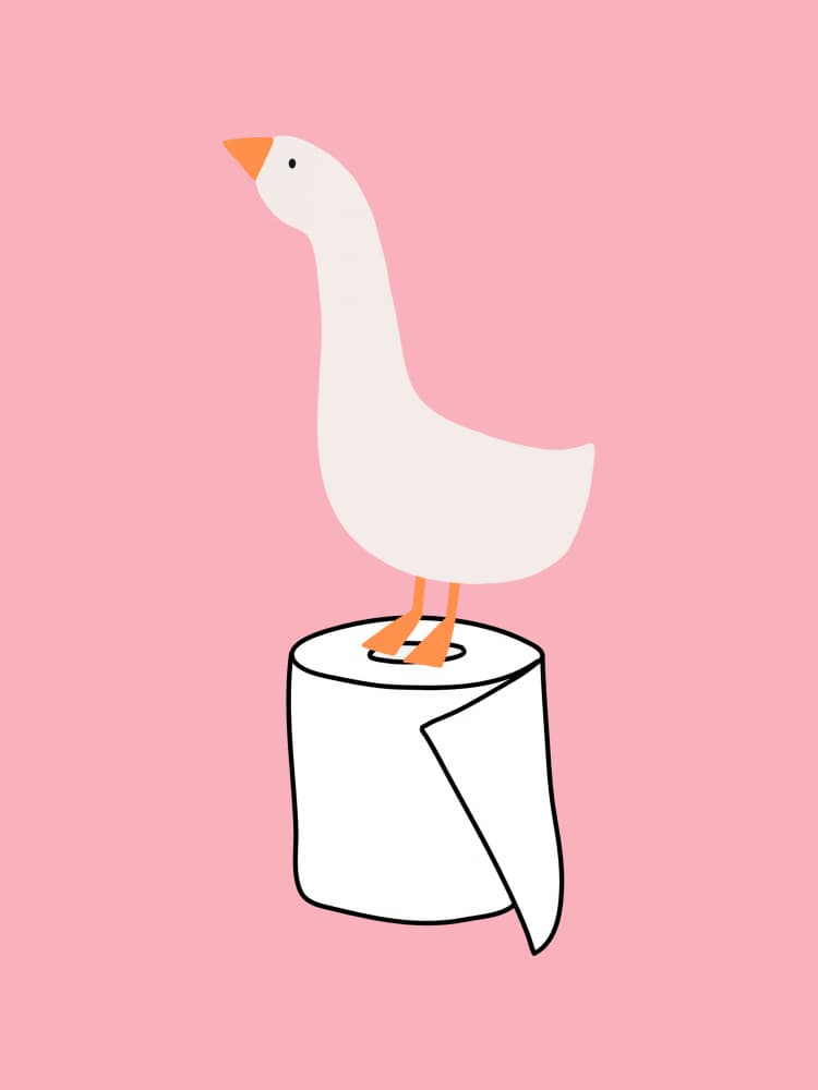 Goose on Toilet Paper by Jolly and Dash — canvas wall art