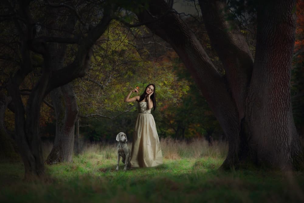 Enchanted Forest Duo by Martin Marcisovsky — canvas wall art