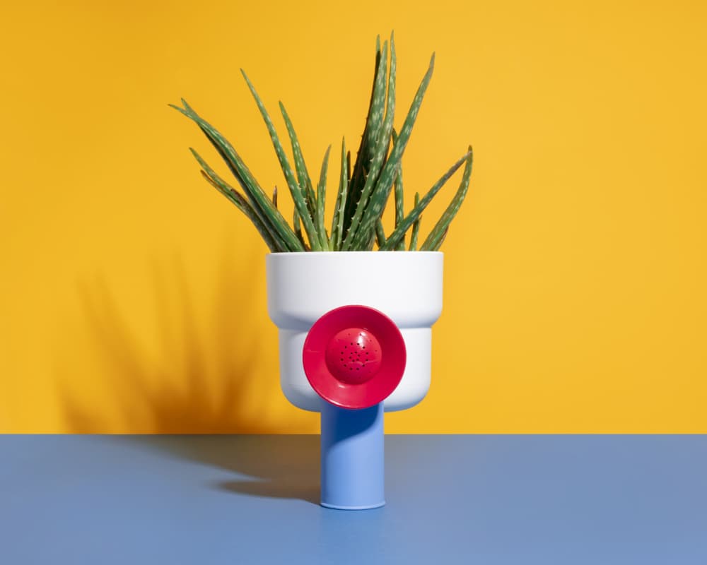 Bold Geometric Plant by Julia Ramiro — canvas wall art