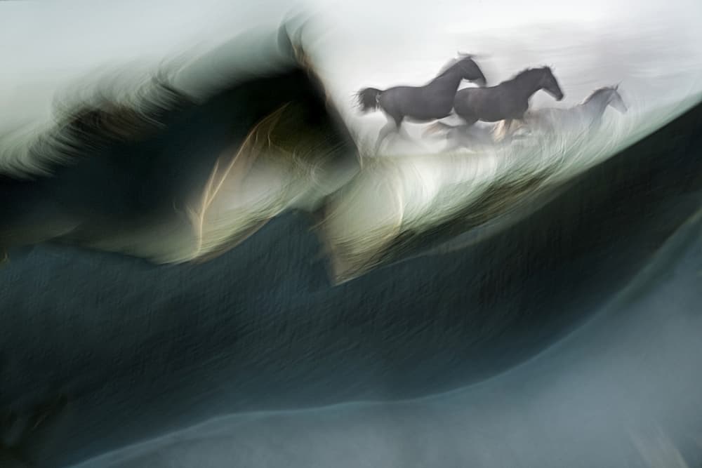 Abstract Running Horses by Milan Malovrh — canvas wall art