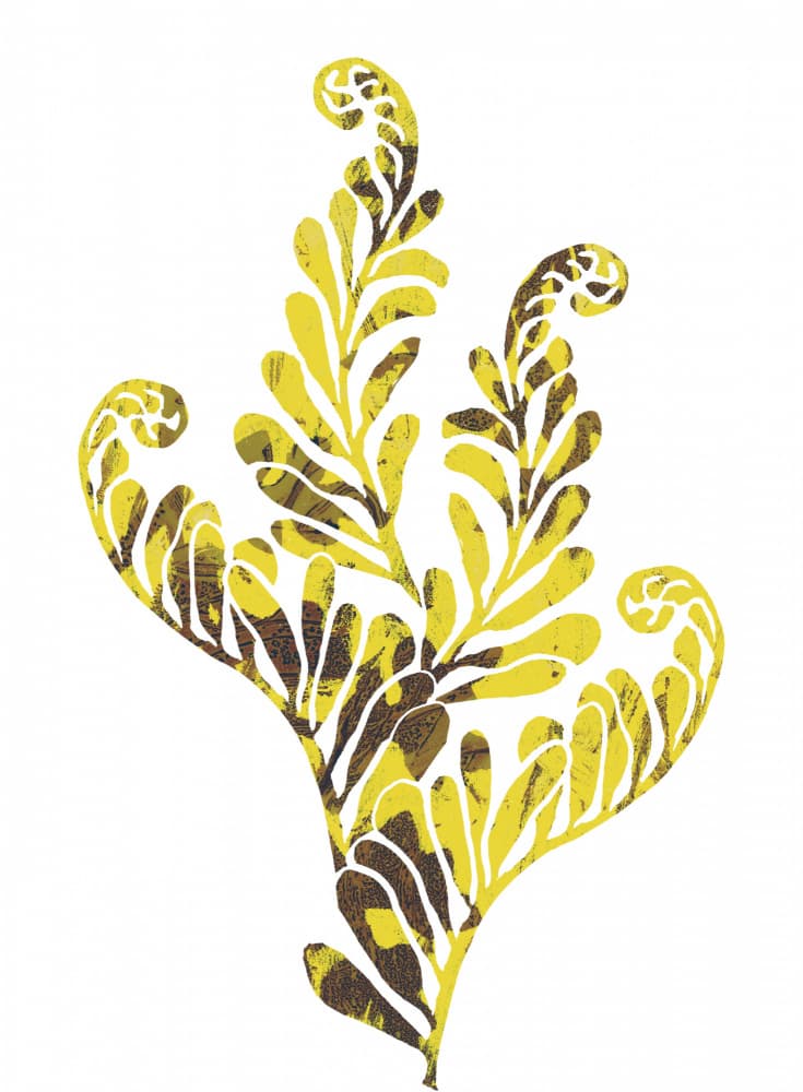Stylized Golden Fern by Melissa McKeagney — canvas wall art