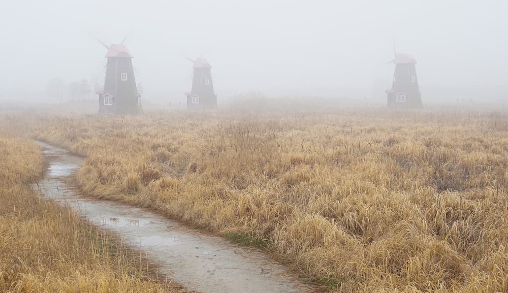 Misty Windmill Path by HAN dong hee — canvas wall art