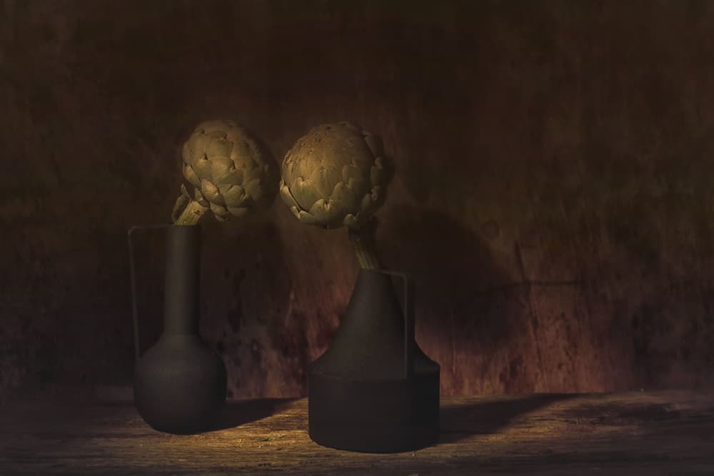 Moody Artichokes Still Life by Saskia Dingemans — canvas wall art